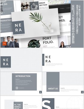 公司产品介绍竞品分析PPT版式模板Powerpoint Template