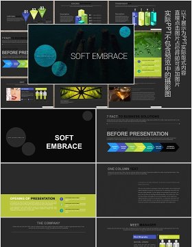 数据分析可视化工作计划PPT信息图表模板SOFT EMBRACE Powerpoint