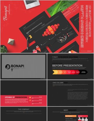 黑红色商业计划书PPT信息可视化图表模板Bonapit - Powerpoint Template