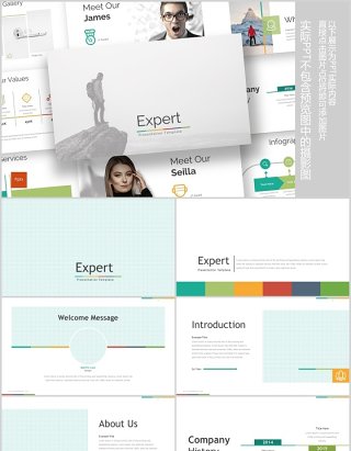 多彩公司介绍可视化信息图表PPT模板版式排版Expert - Powerpoint Template