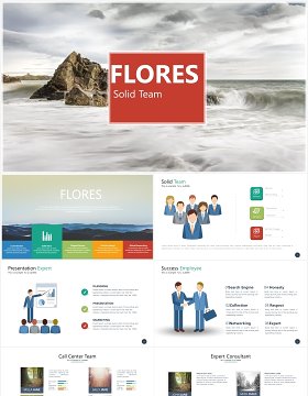 多功能实用可视化数据信息图表PPT素材模板flores powerpoint template