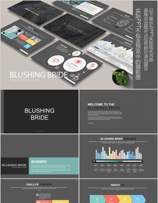 产品介绍公司宣传PPT版式设计模板BLUSHING BRIDE Powerpoint