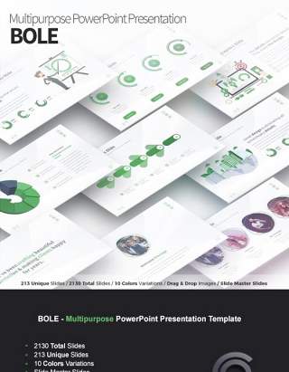 多用途PPT幻灯片模板Bole Multipurpose PowerPoint Presentation