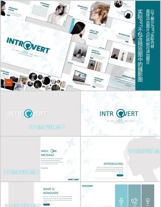 内向型求职竞聘个人简历介绍PPT模板版式设计Introvert Powerpoint Template