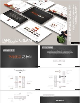 高端公司项目时间节点安排团队组织架构图PPT图片排版设计模板TANGELO CREAM Powerpoint