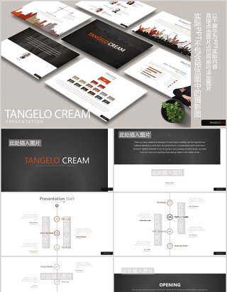 高端公司项目时间节点安排团队组织架构图PPT图片排版设计模板TANGELO CREAM Powerpoint