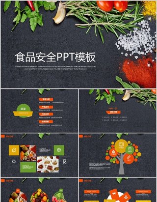 深色食品安全教育PPT模板