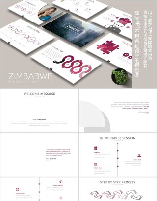 简洁玫瑰色商务个性公司简介PPT模板可插图片ZIMBABWE Powerpoint