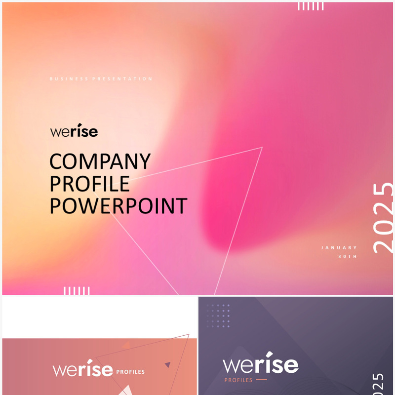 简洁公司项目介绍PPT素材模板可插图Werise Bright Company Profile