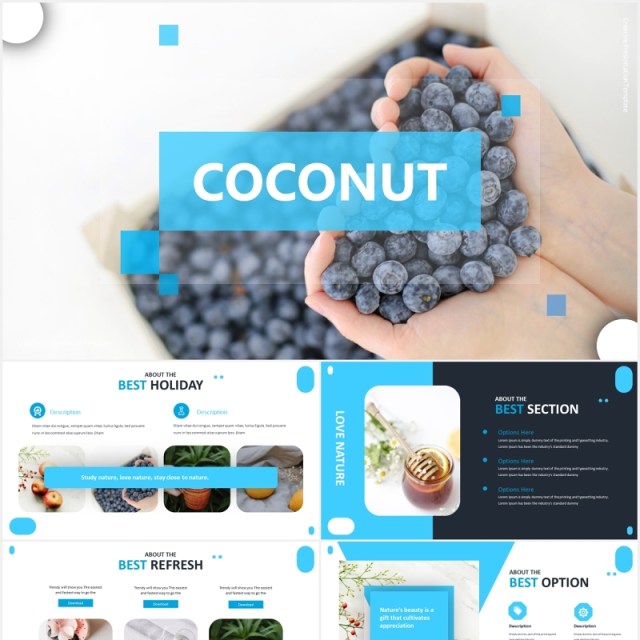 国外蓝色简约信息图表PPT模板coconut powerpoint template