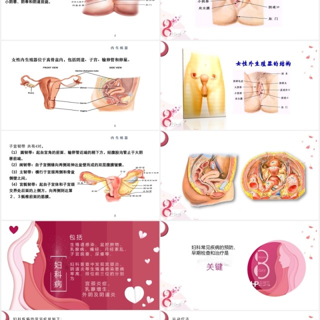 粉色简约女性妇科常见疾病预防和保健知识讲座PPT模板