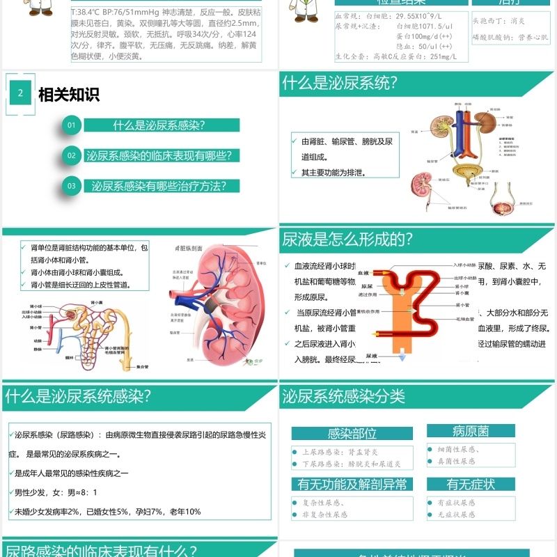 泌尿系感染护理查房医用PPT模板