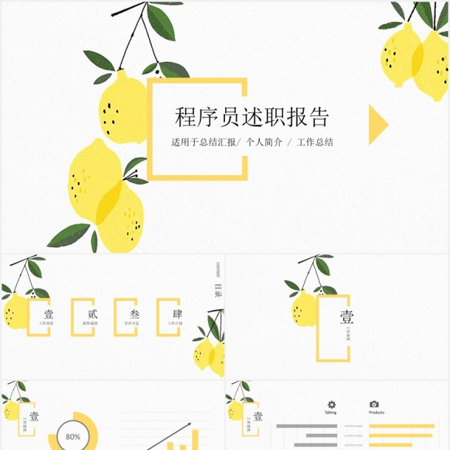 简约程序员个人工作总结述职报告PPT模板 简约程序员个人工作总结述职报告PPT模板