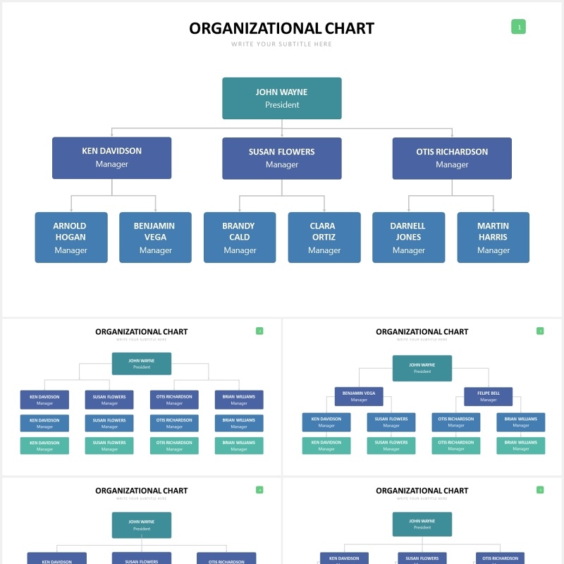 公司组织结构图PPT可视化图表素材Org Chart Slides Powerpoint Template