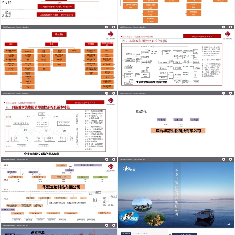 公司股权设计股权激励案例分析PPT模板