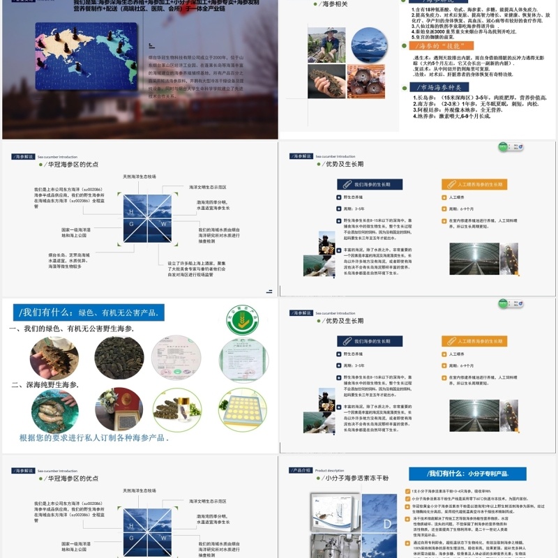 公司股权设计股权激励案例分析PPT模板