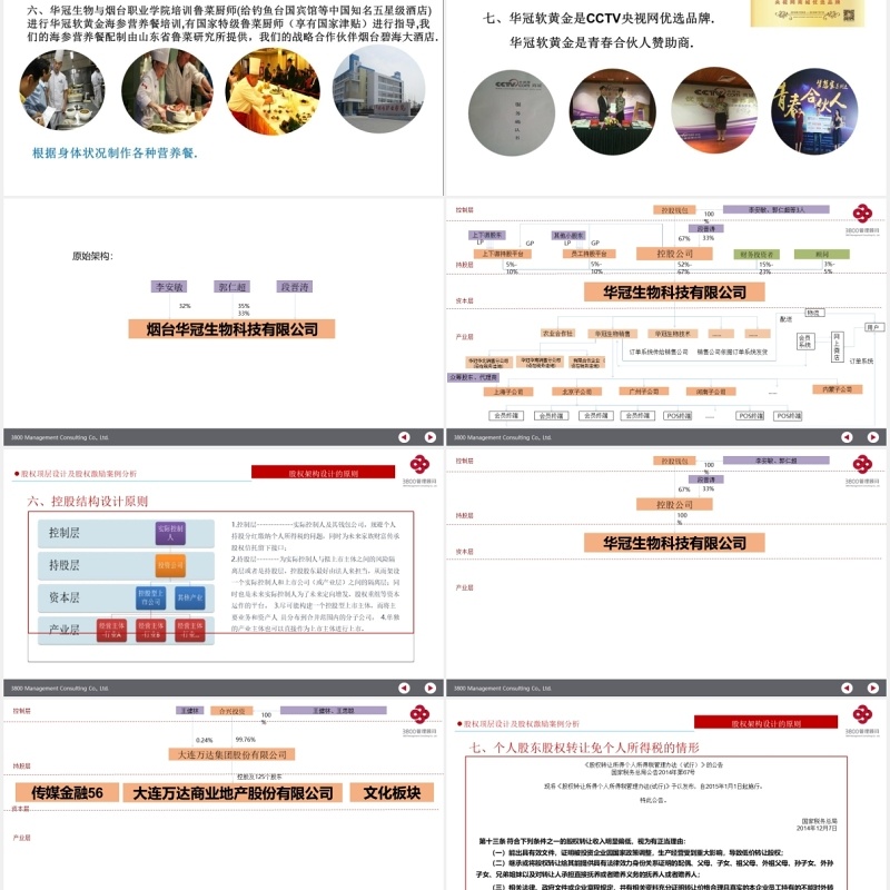 公司股权设计股权激励案例分析PPT模板