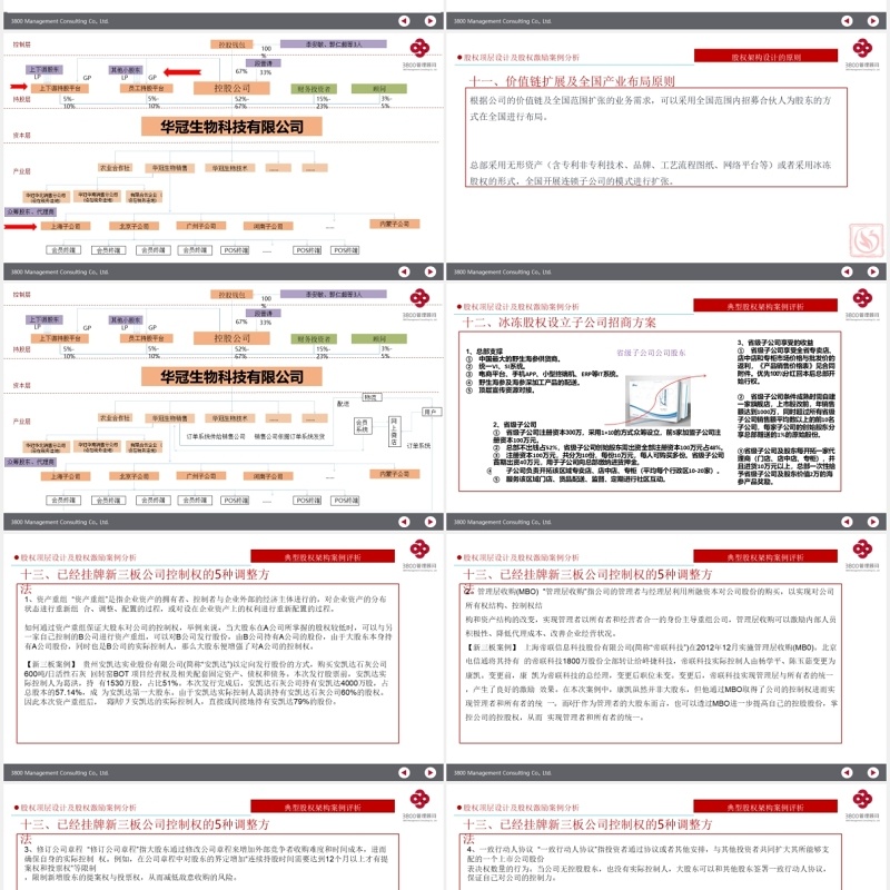 公司股权设计股权激励案例分析PPT模板