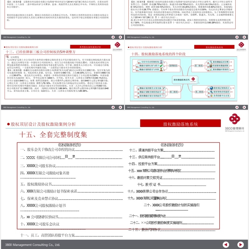 公司股权设计股权激励案例分析PPT模板