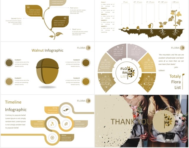 花卉鲜花花店宣传图片排版PPT图表模板Floralist - Powerpoint