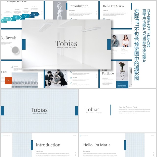 蓝色公司介绍PPT版式设计模板tobias powerpoint template