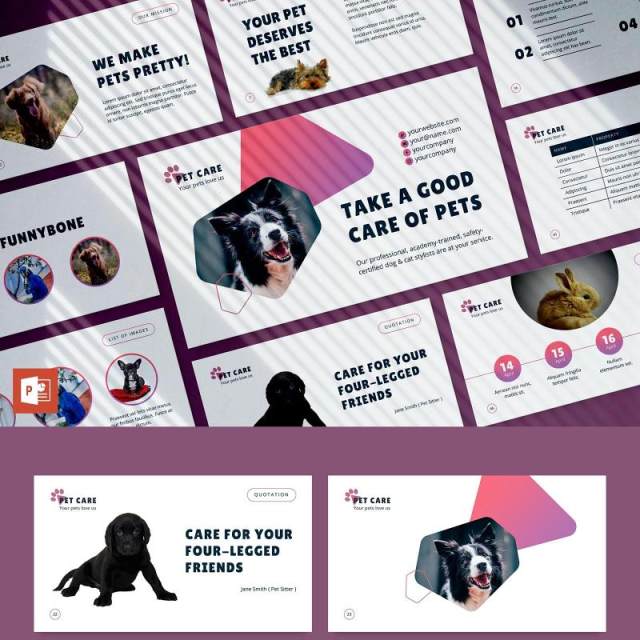 宠物美容沙龙猫狗护理服务PPT版式模板Pet Care PowerPoint Presentation Template 宠物美容沙龙猫狗护理服务PPT版式模板Pet Care PowerPoint Presentation Template