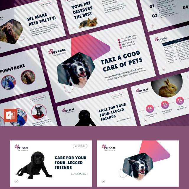 宠物美容沙龙猫狗护理服务PPT版式模板Pet Care PowerPoint Presentation Template