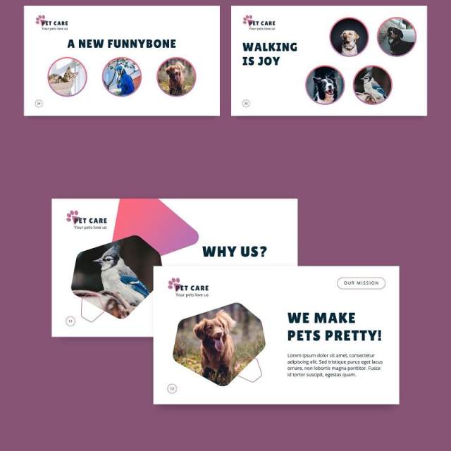 宠物美容沙龙猫狗护理服务PPT版式模板Pet Care PowerPoint Presentation Template