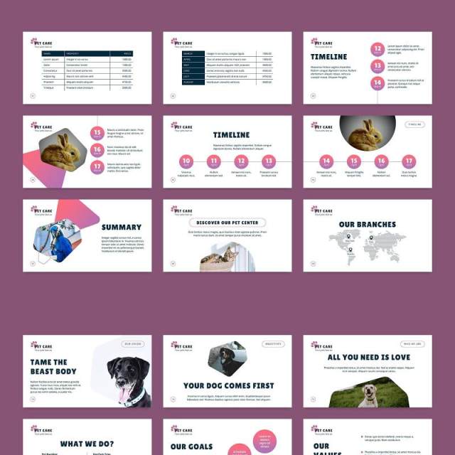 宠物美容沙龙猫狗护理服务PPT版式模板Pet Care PowerPoint Presentation Template 宠物美容沙龙猫狗护理服务PPT版式模板Pet Care PowerPoint Presentation Template