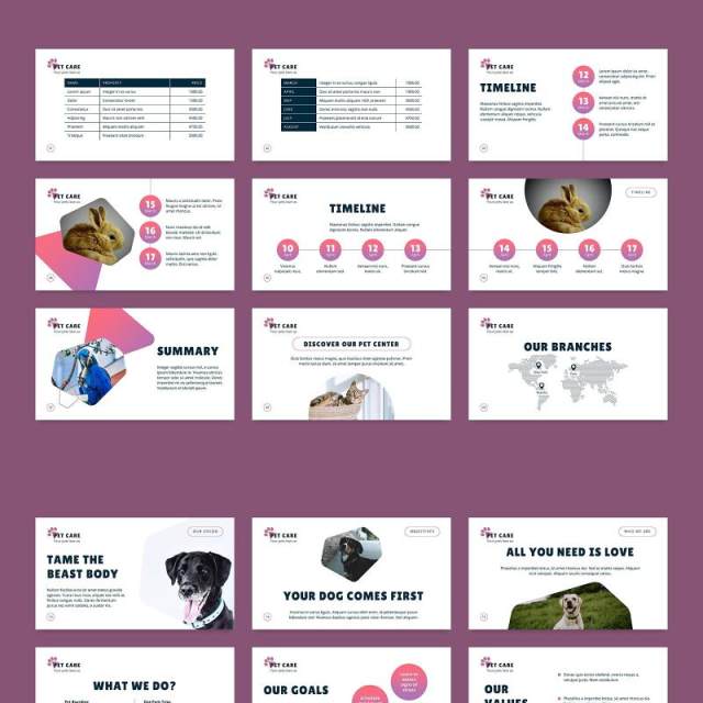 宠物美容沙龙猫狗护理服务PPT版式模板Pet Care PowerPoint Presentation Template