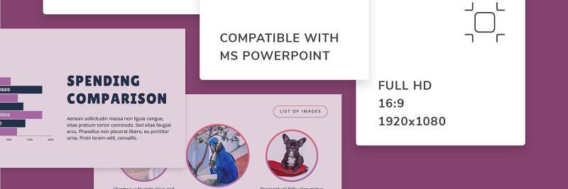 宠物美容沙龙猫狗护理服务PPT版式模板Pet Care PowerPoint Presentation Template