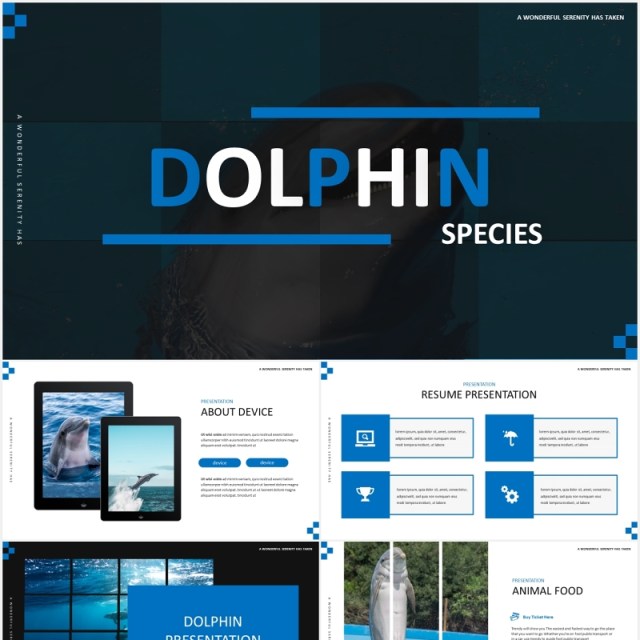 简约蓝色海豚宣传介绍PPT模板Dolphine Species Templates