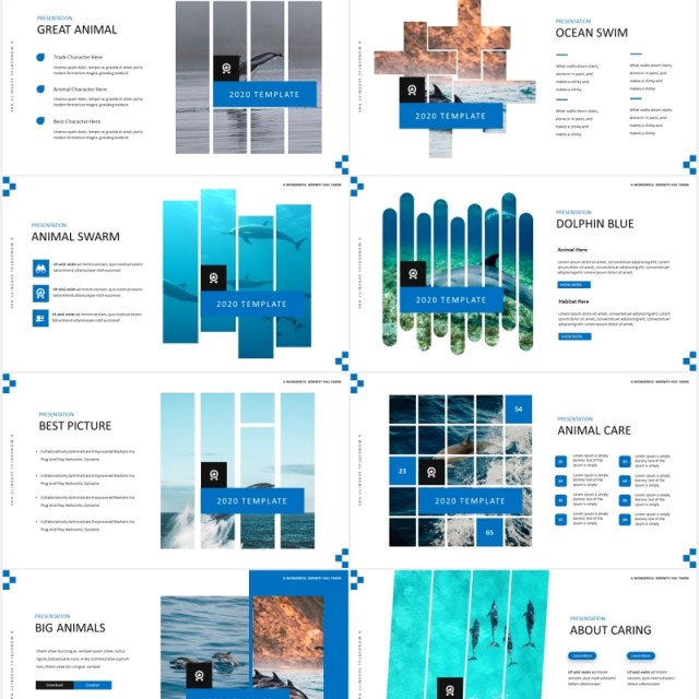 简约蓝色海豚宣传介绍PPT模板Dolphine Species Templates 简约蓝色海豚宣传介绍PPT模板Dolphine Species Templates
