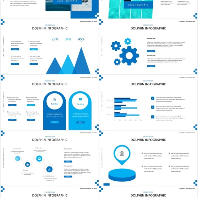 简约蓝色海豚宣传介绍PPT模板Dolphine Species Templates