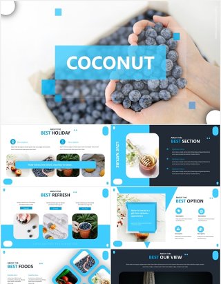 国外蓝色简约信息图表PPT模板coconut powerpoint template