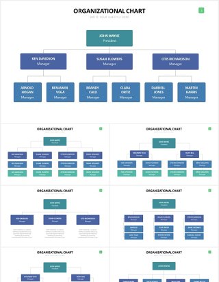 公司组织结构图PPT可视化图表素材Org Chart Slides Powerpoint Template