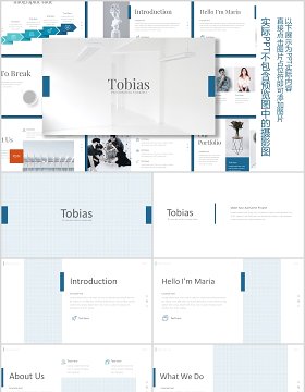 蓝色公司介绍PPT版式设计模板tobias powerpoint template