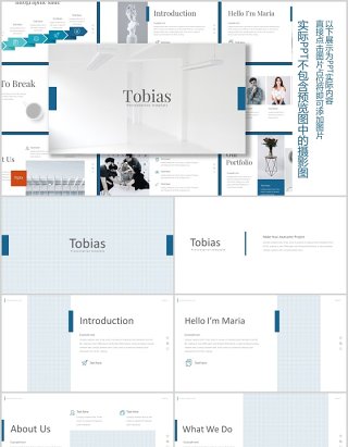 蓝色公司介绍PPT版式设计模板tobias powerpoint template