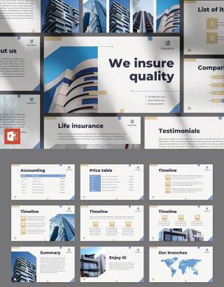 保险代理公司PPT版式模板Insurance Agency PowerPoint Presentation Template