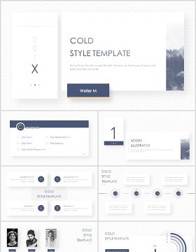 简约冷淡风商务通用PPT模板cold style template