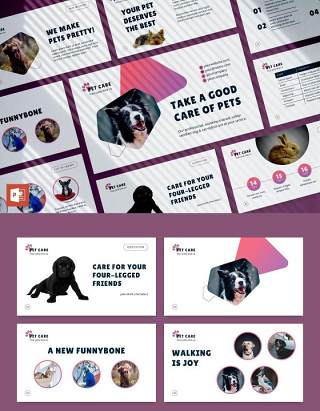 宠物美容沙龙猫狗护理服务PPT版式模板Pet Care PowerPoint Presentation Template