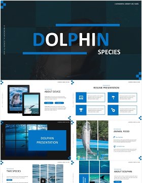 简约蓝色海豚宣传介绍PPT模板Dolphine Species Templates