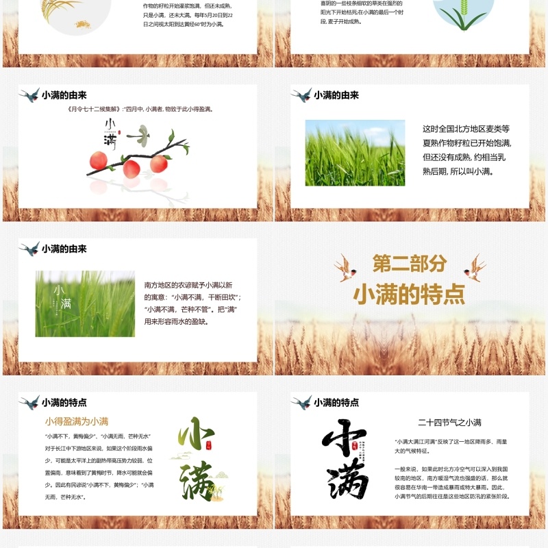 文艺风二十四节气之小满介绍PPT模板
