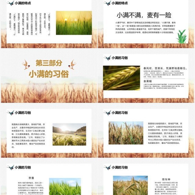 文艺风二十四节气之小满介绍PPT模板 文艺风二十四节气之小满介绍PPT模板