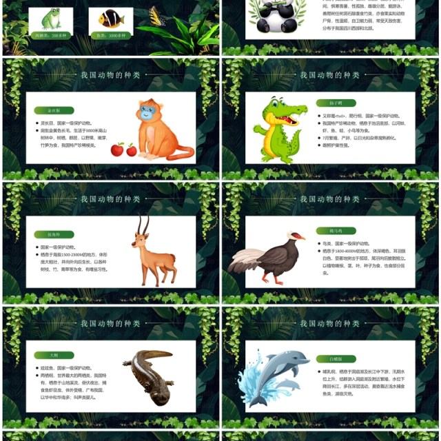 绿色卡通风世界野生动植物日PPT模板 绿色卡通风世界野生动植物日PPT模板