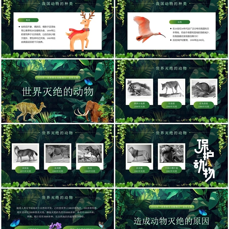 绿色卡通风世界野生动植物日PPT模板