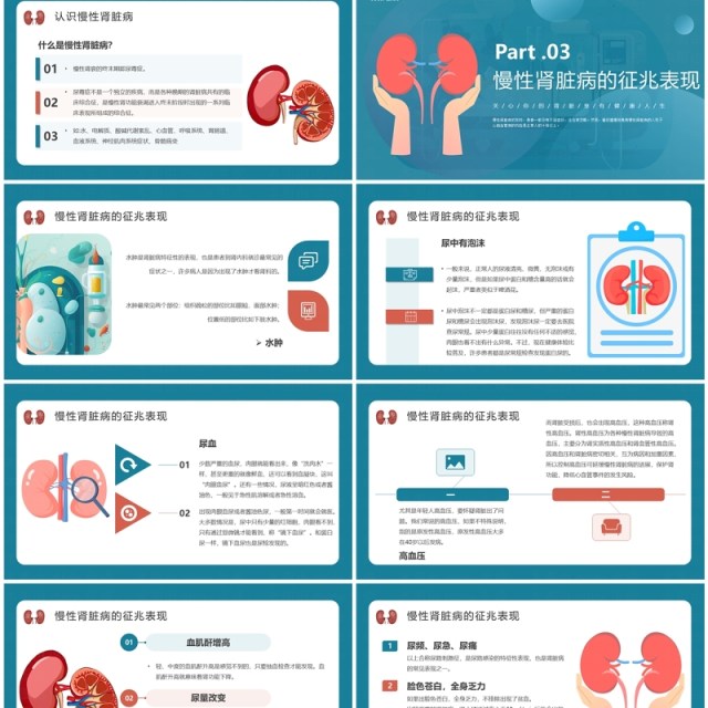 蓝色简约医疗慢性肾脏病宣传教育PPT模板