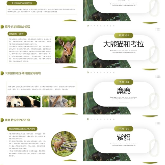 绿色简约风保护濒危动物主题教育PPT模板 绿色简约风保护濒危动物主题教育PPT模板