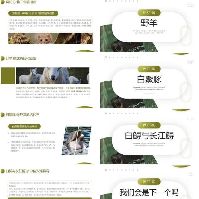 绿色简约风保护濒危动物主题教育PPT模板 绿色简约风保护濒危动物主题教育PPT模板
