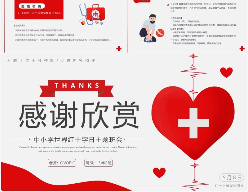 红色简约世界红十字日宣传介绍PPT模板